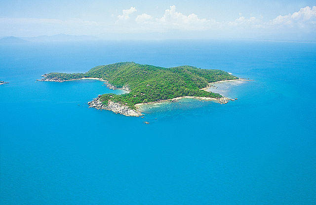 No man is an island. We all need a support system to thrive